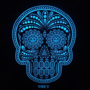 Obey dark gray skull hoodie SZ M glow in the dark